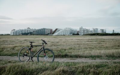 10 hundeskove i København (og omegn)