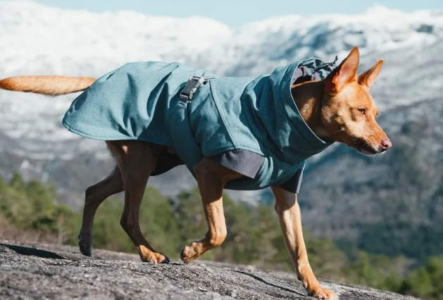 Hurtta Expedition Parka Hundejakke